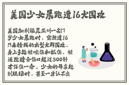 成品网站W灬源码网站